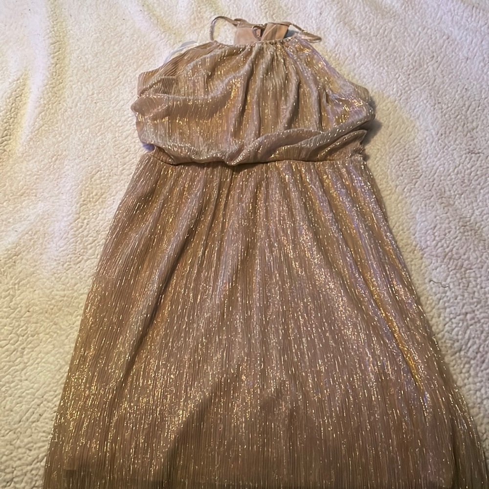 Beautiful long shiny dress